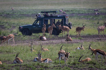 Elewana Sand River Masai Mara 호텔 마사이마라 외부 사진